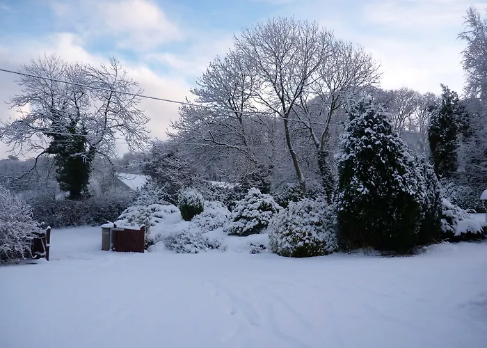 Lon Y Traeth Bed & Breakfast